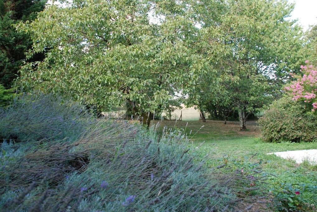 Uniquely Private In The Charente Puyreaux