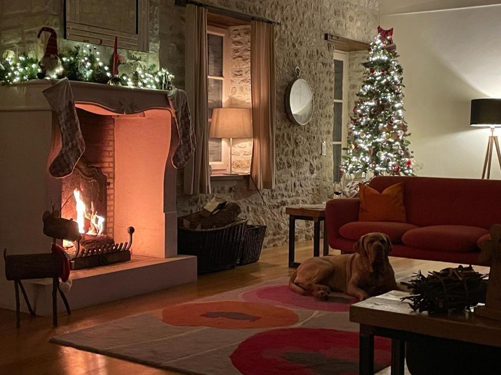 Uniquely Private In The Charente Puyreaux